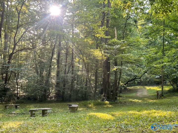 577 Rock Ridge Road  Valley Head AL 35989 photo