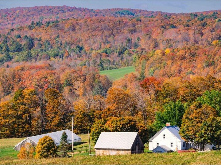 Property Photo:  183 Morrie Road  VT 05675 