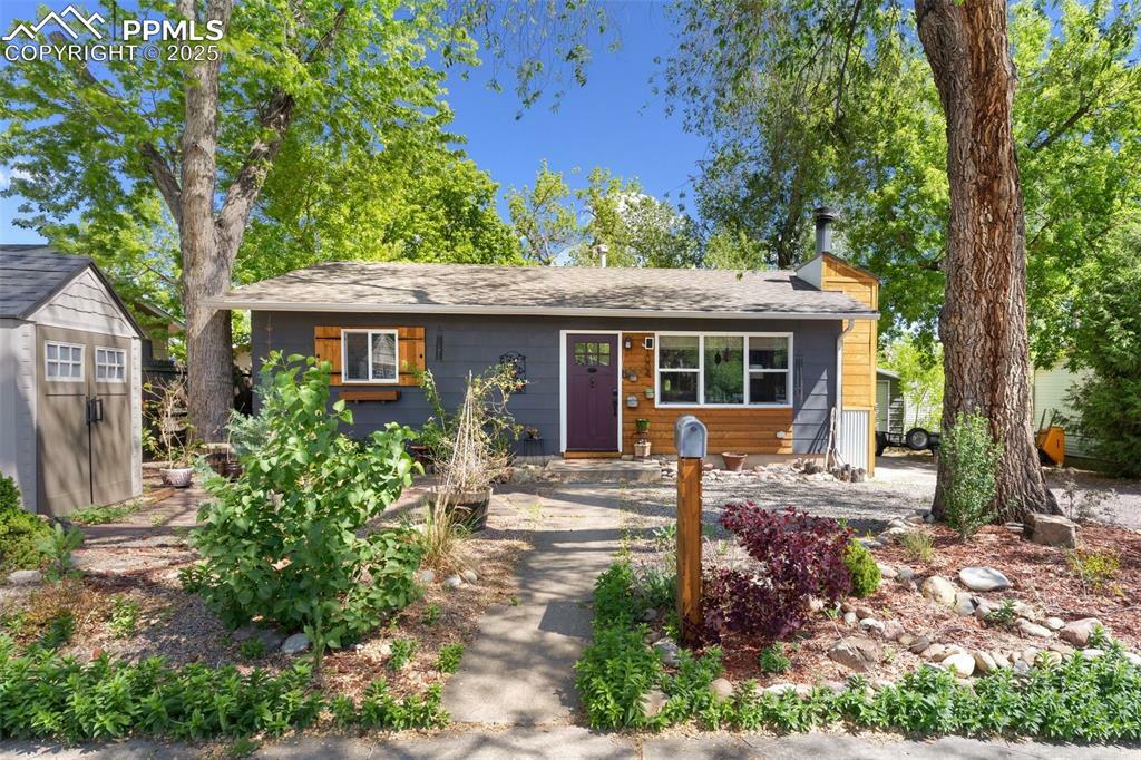 Property Photo: 1004 Montrose Avenue CO 80905