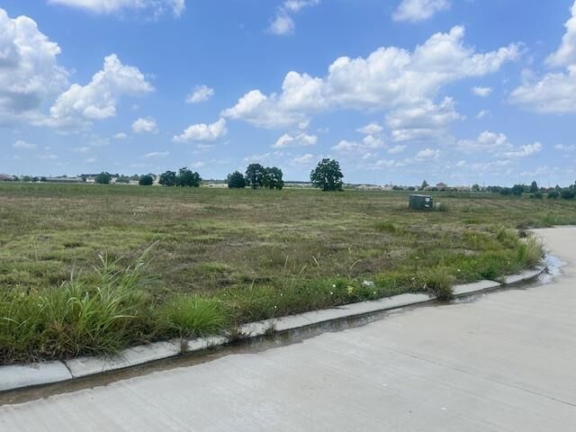 Property Photo:  3590 Trenton Lane  TX 77713