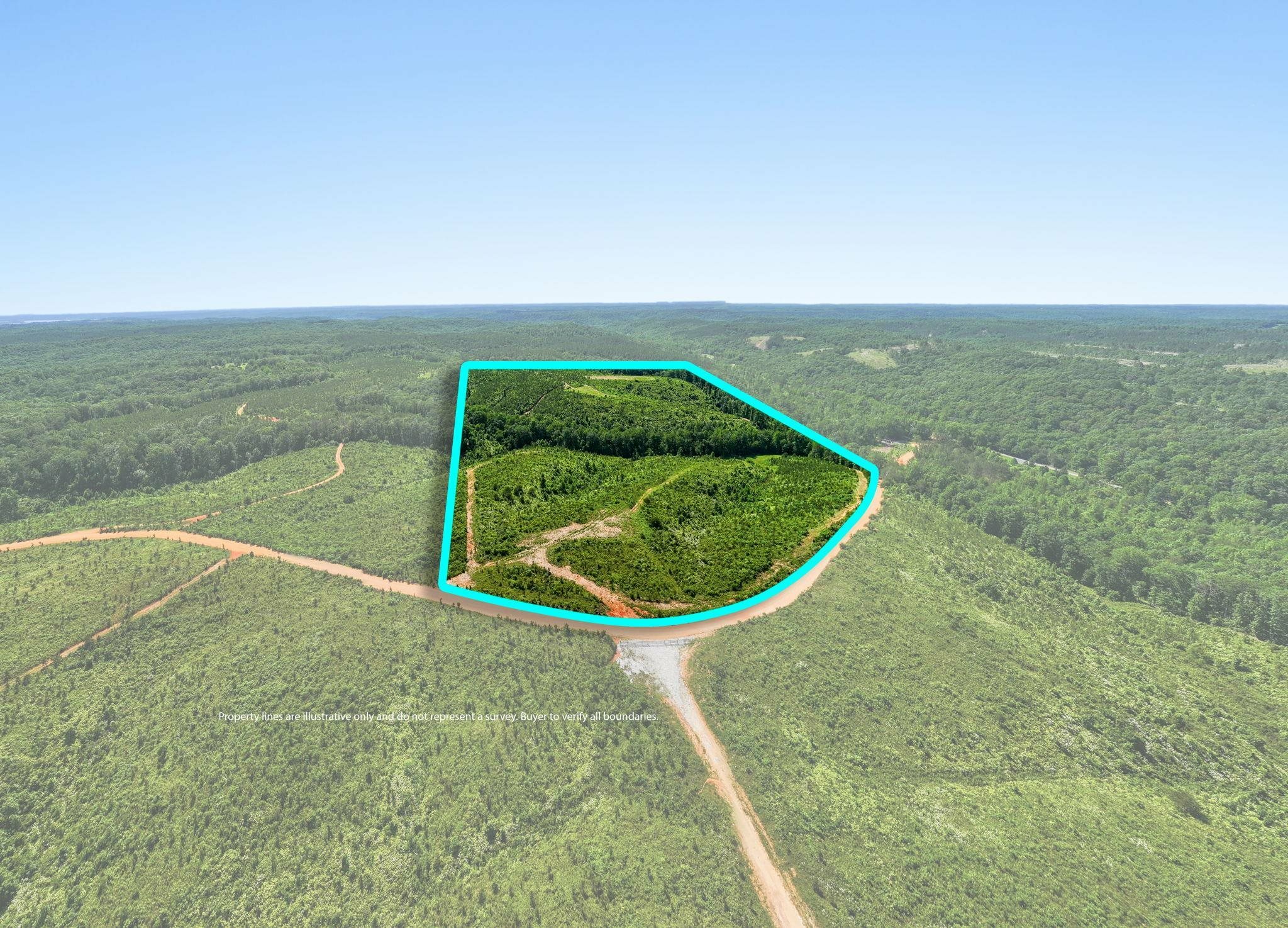 Property Photo:  00 Co Rd 79  AL 35677 - WATERLOO 