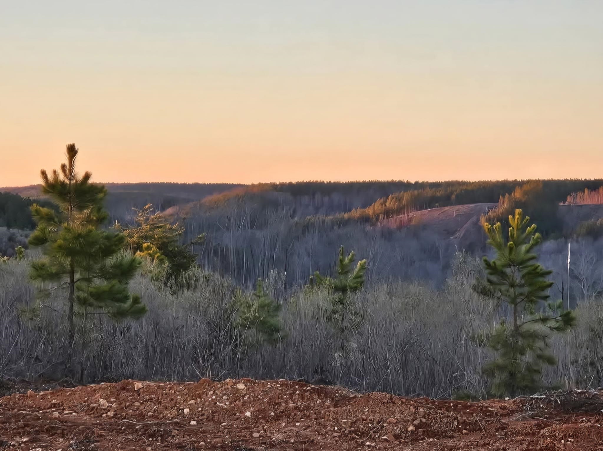 Property Photo:  00 Co Rd 79  AL 35677 - WATERLOO 