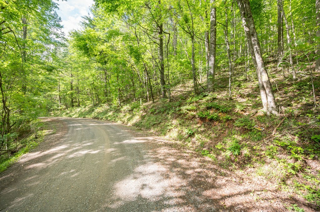 Property Photo: Tbd Laurel Fork Rd VA 24352
