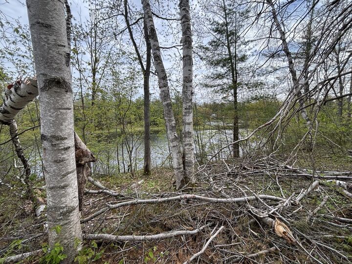 Property Photo: Lot 253 Iroquois Trail MI 49735