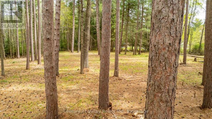 Property Photo:  536 Pine Street  ON K0J 2R0 