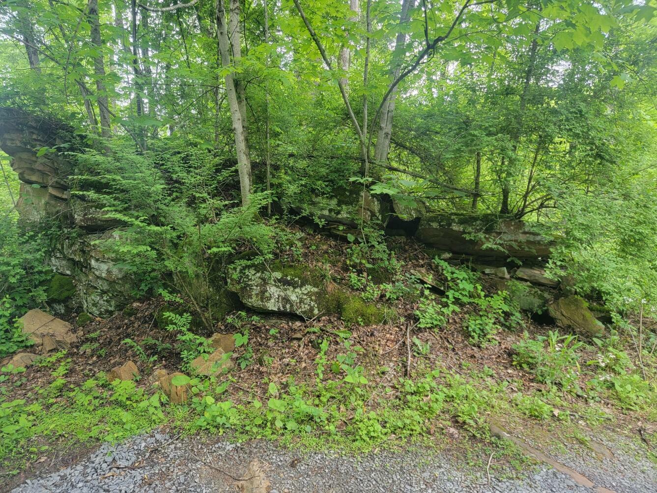 Property Photo:  Lot 9 Lakeview Height  WV 26679 