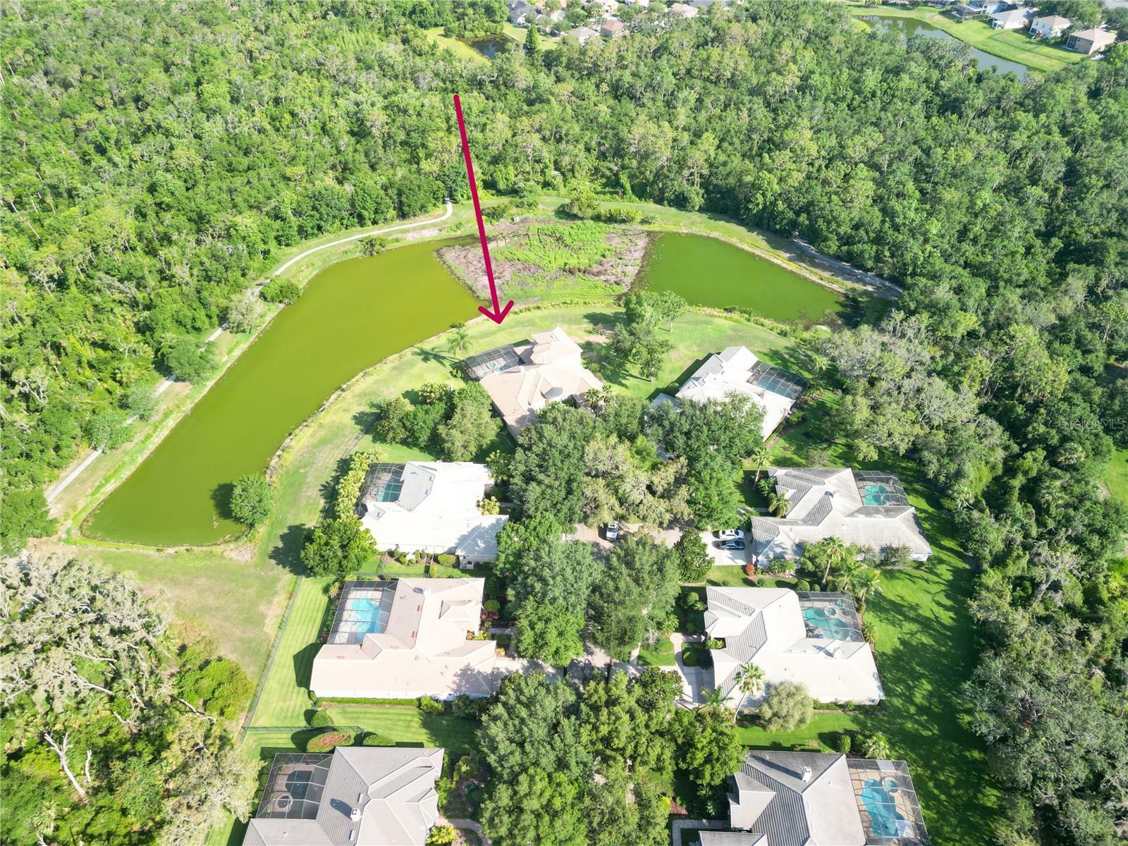 Property Photo: 15101 Kestrelglen Way FL 33547