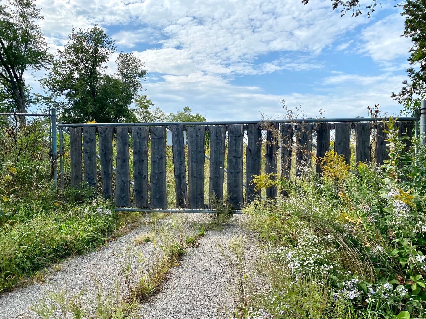 Property Photo: 28884 N Il Route 83 IL 60060