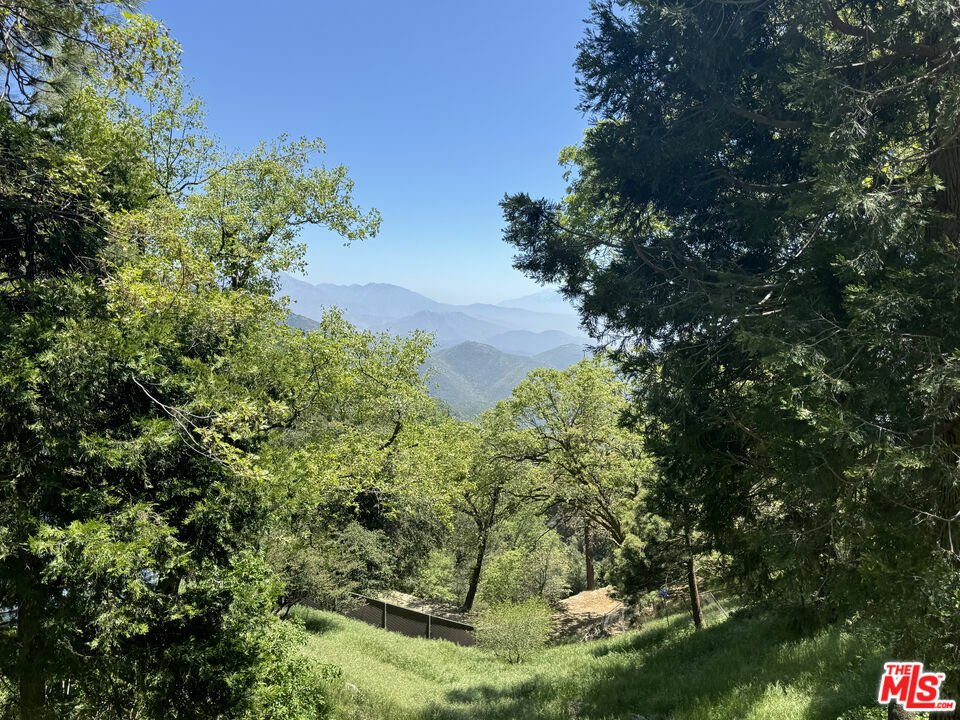 Property Photo:  22771 Crest Forest Drive  CA 92325 