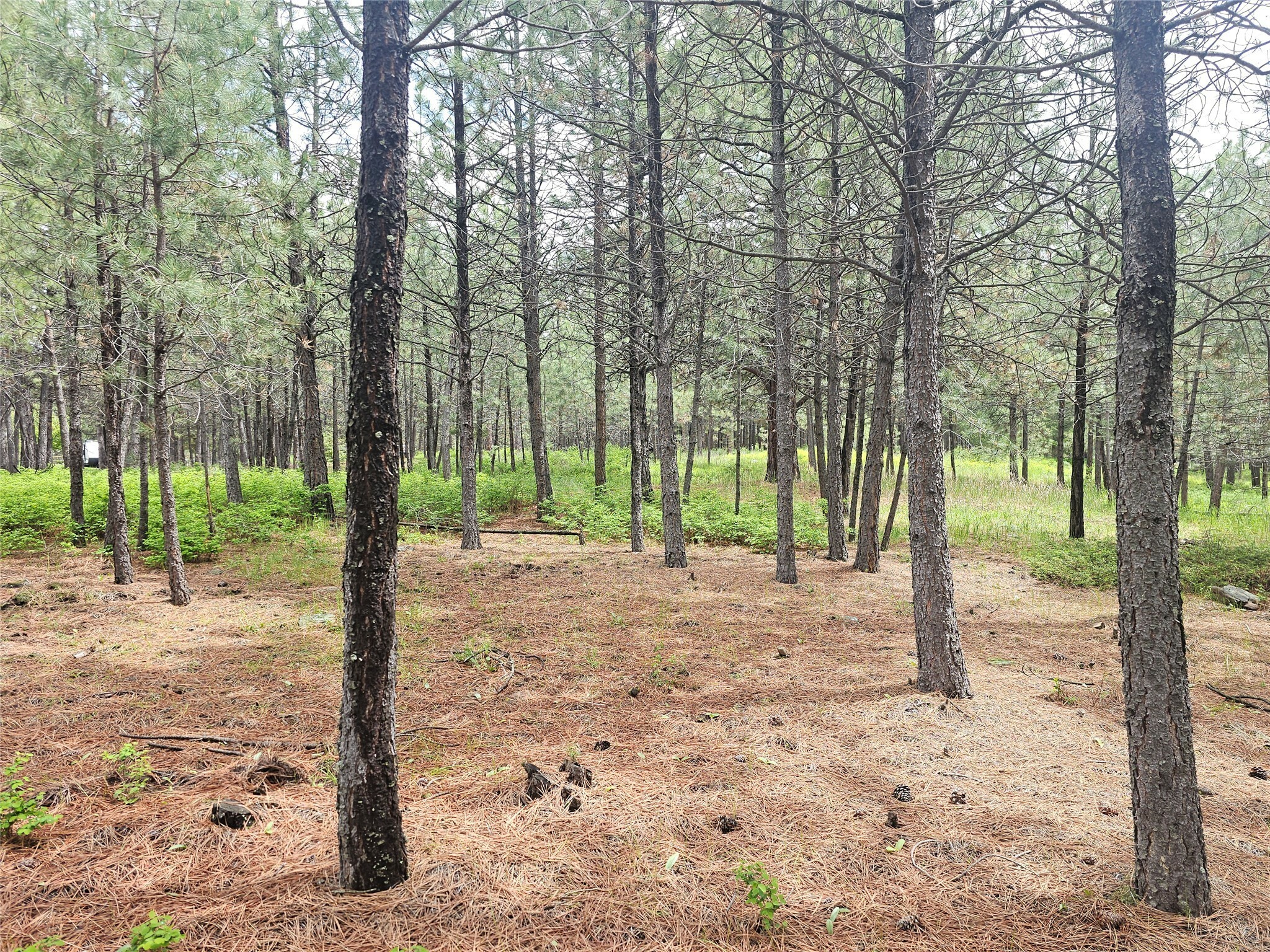 Property Photo: 23355 Sunbilla Drive MT 59821