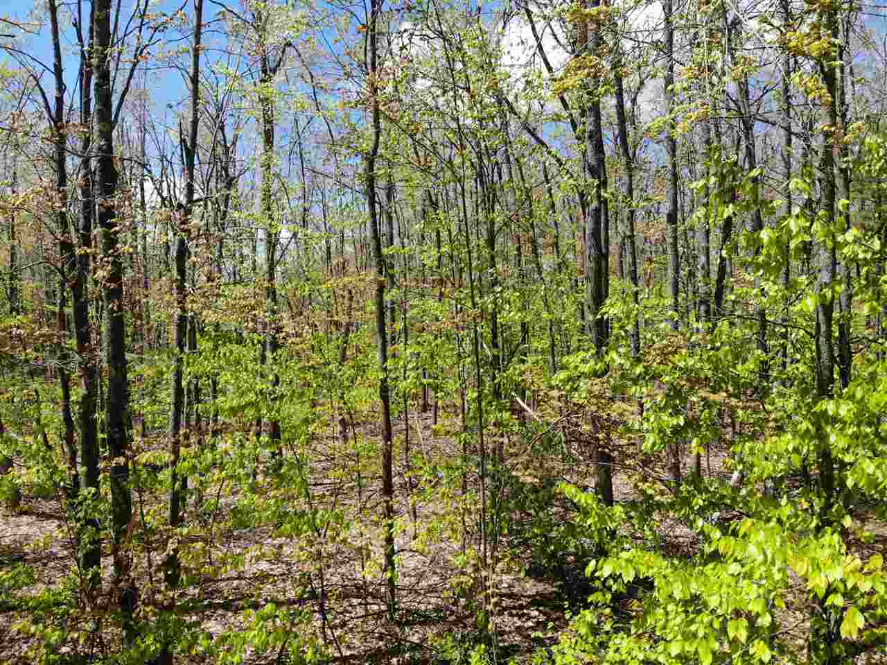 Property Photo: Tbd Eastridge MI 49735