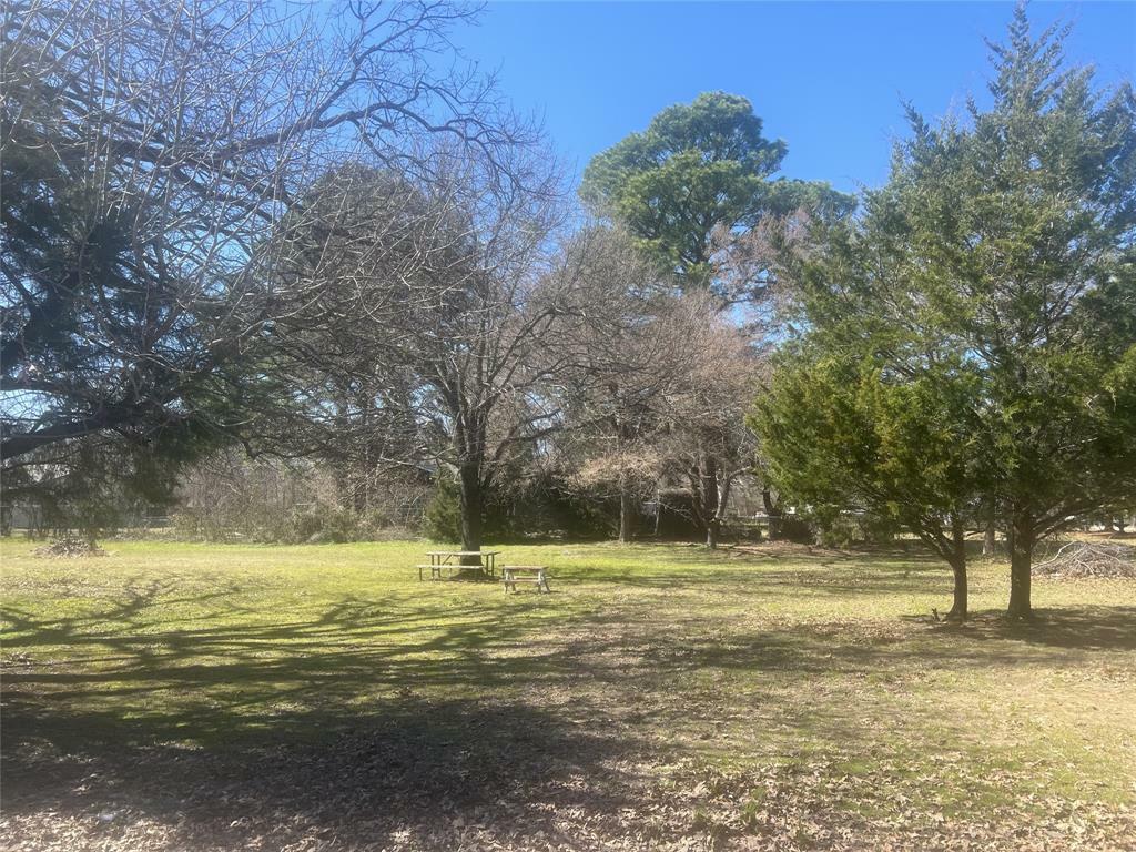 Tbd Flower Street  Wills Point TX 75169 photo