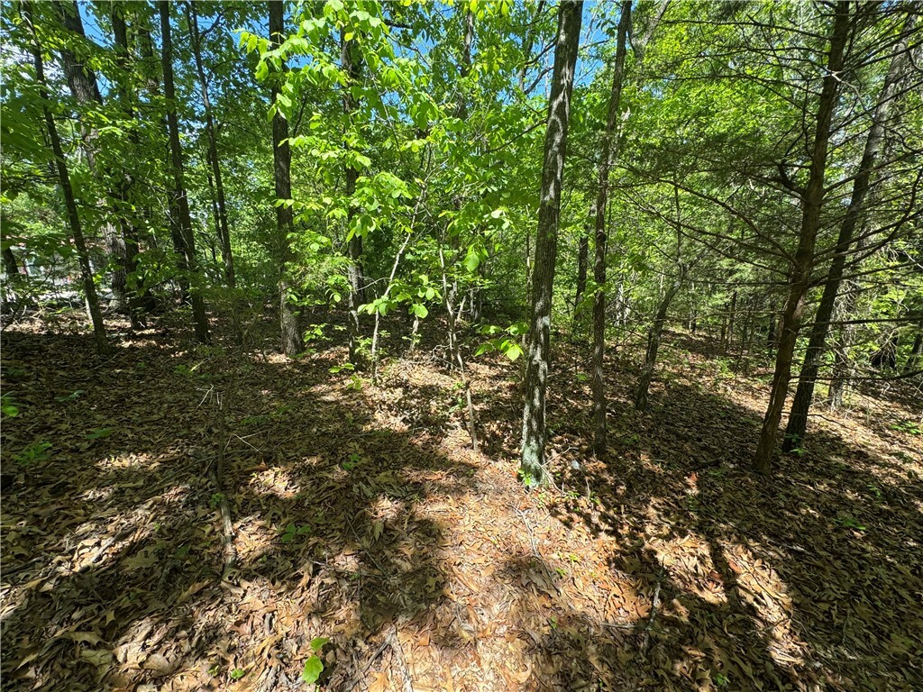 Property Photo:  000 County Road 3216  AR 72830 