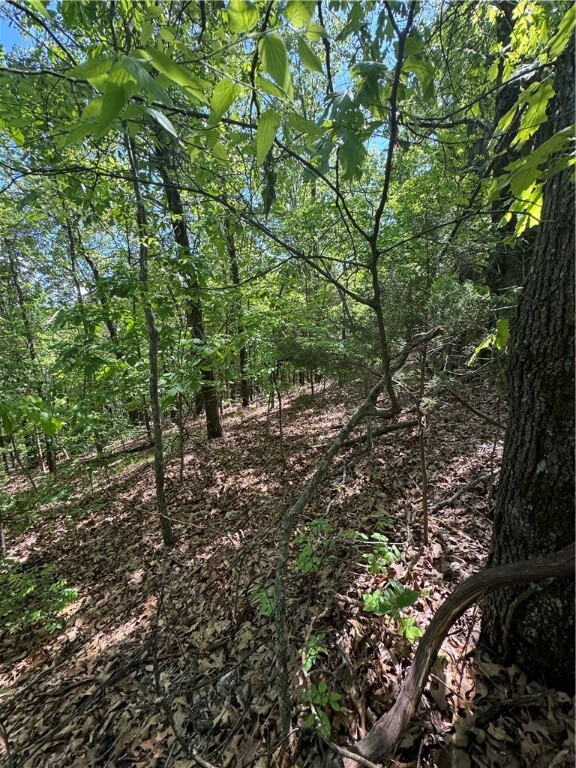 Property Photo: 000 County Road 3216 AR 72830