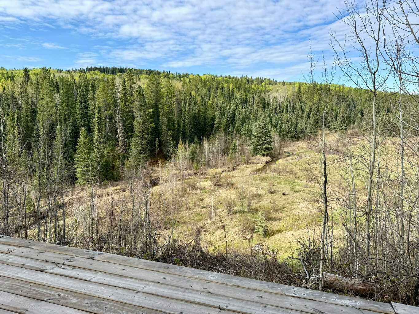 Property Photo:  West Of RR 55 On Twp 303  AB T0M 0R0 