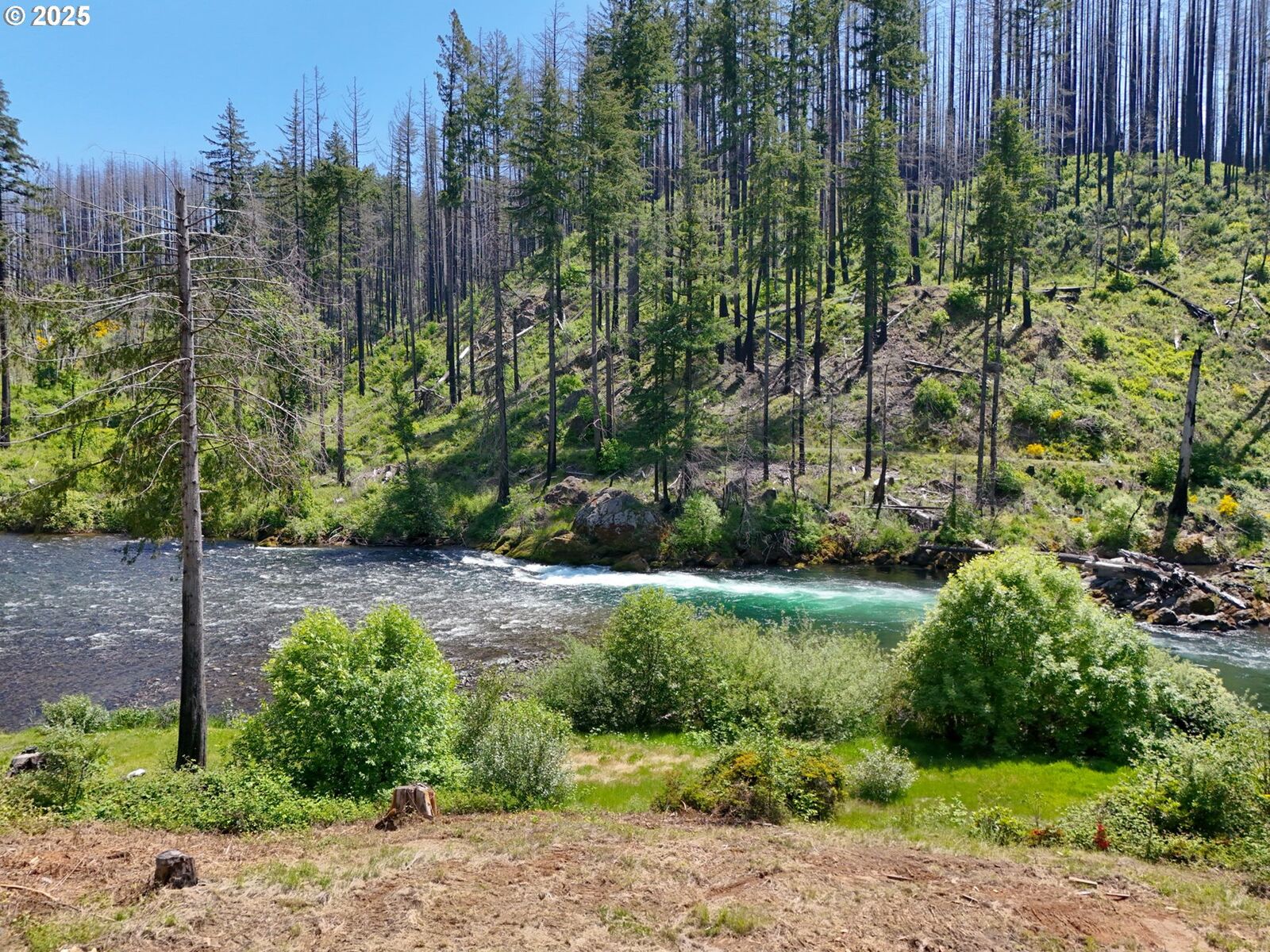 Property Photo:  47772 McKenzie Hwy  OR 97488