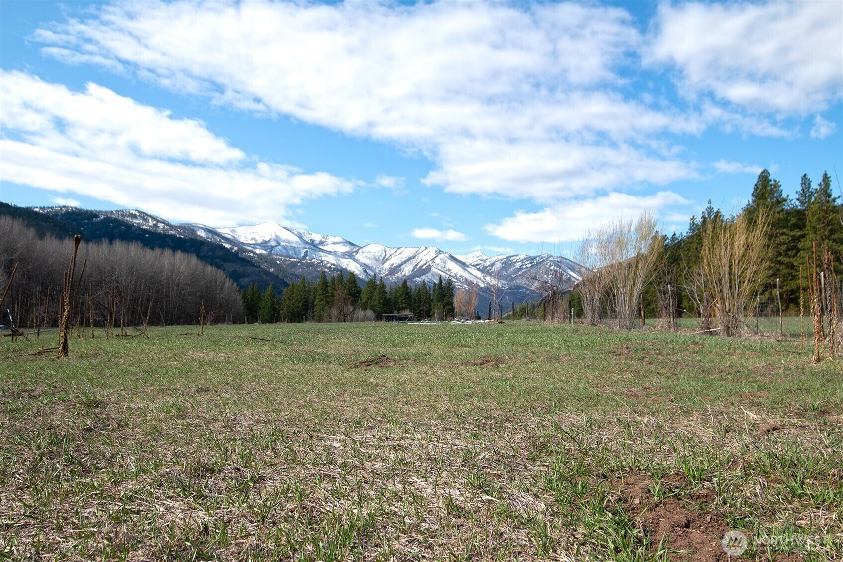Property Photo: 64 Elmer Road WA 98856