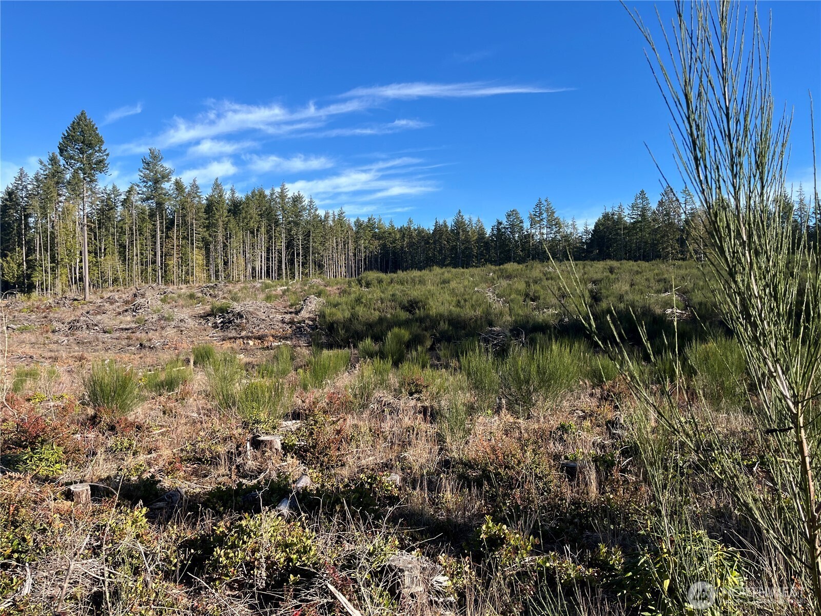 Property Photo: 1 Rhododendron Lane NW WA 98370