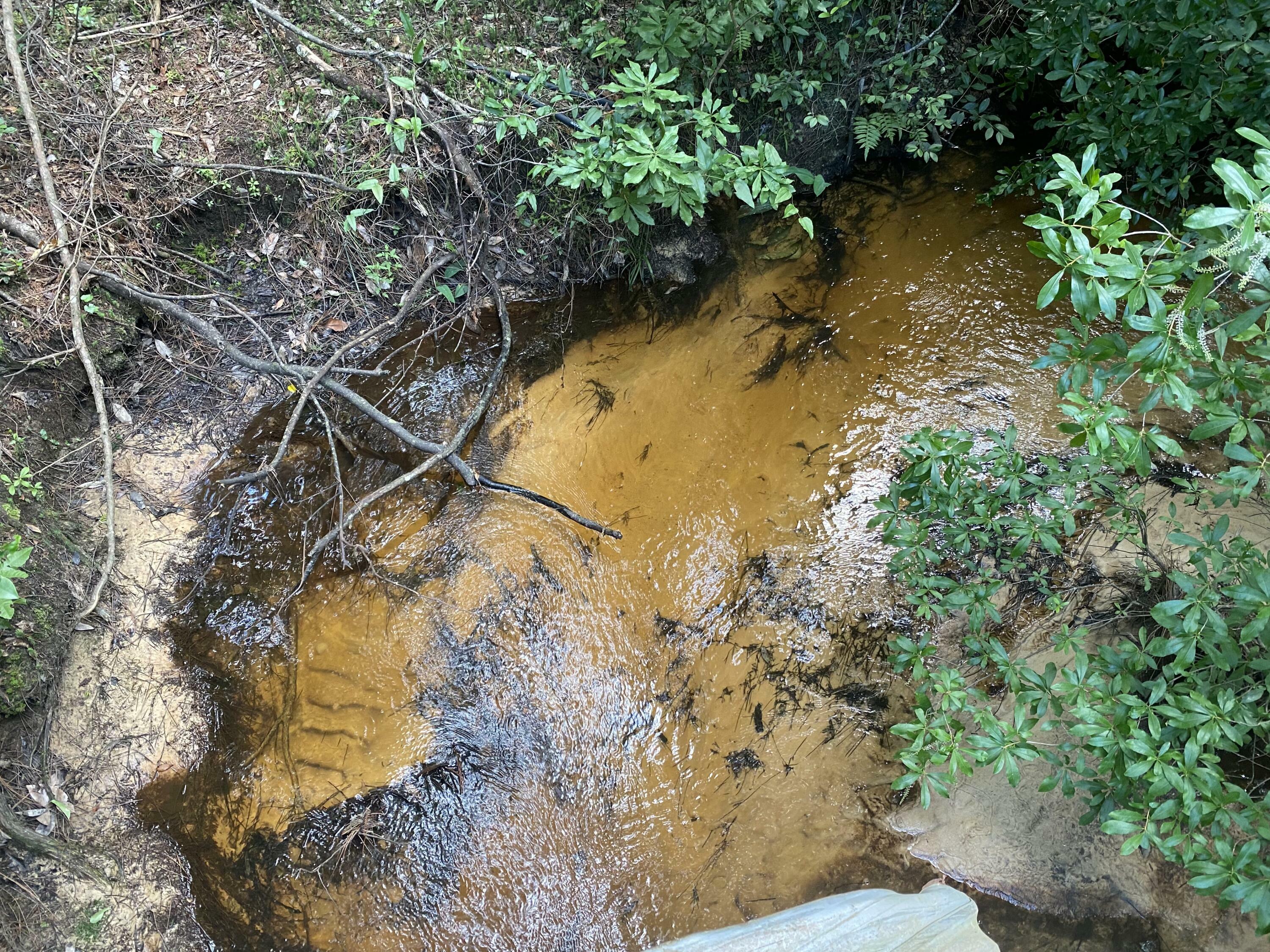 Property Photo: 31 Acres Canyon Trail FL 32531