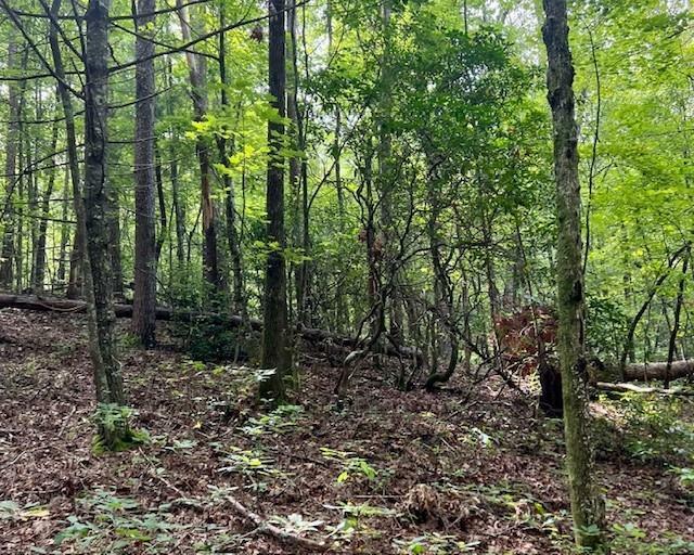 Property Photo: 0 Mountain View Lane GA 30555