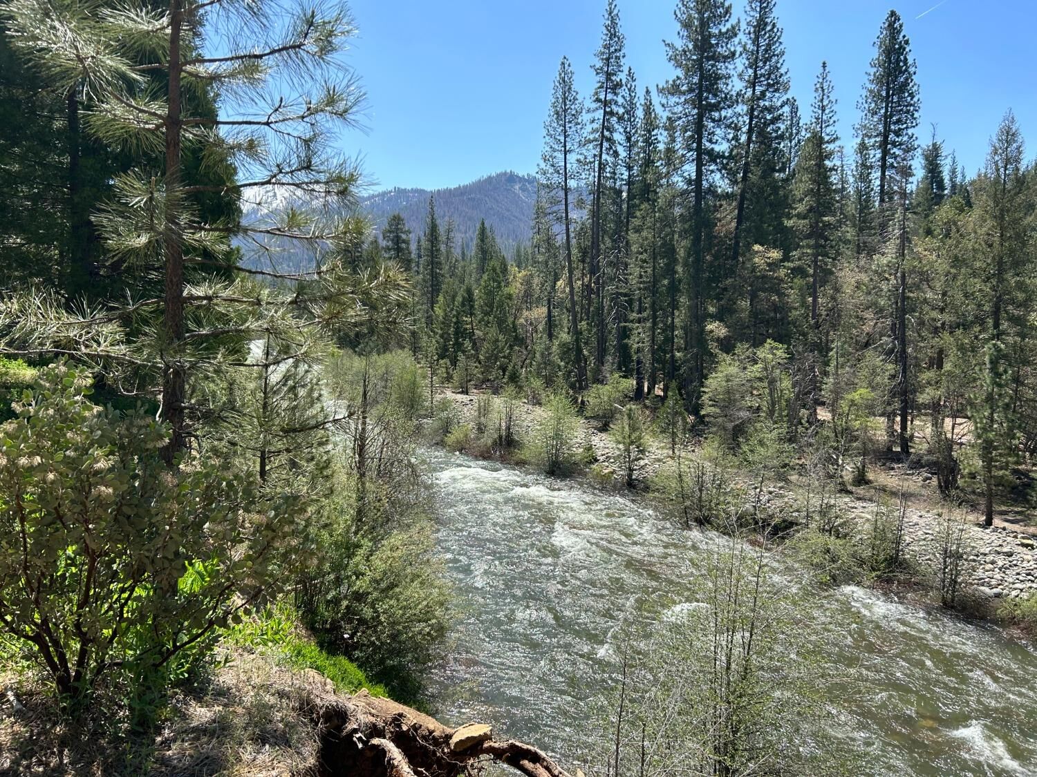 Property Photo: 0 River Street CA 95389