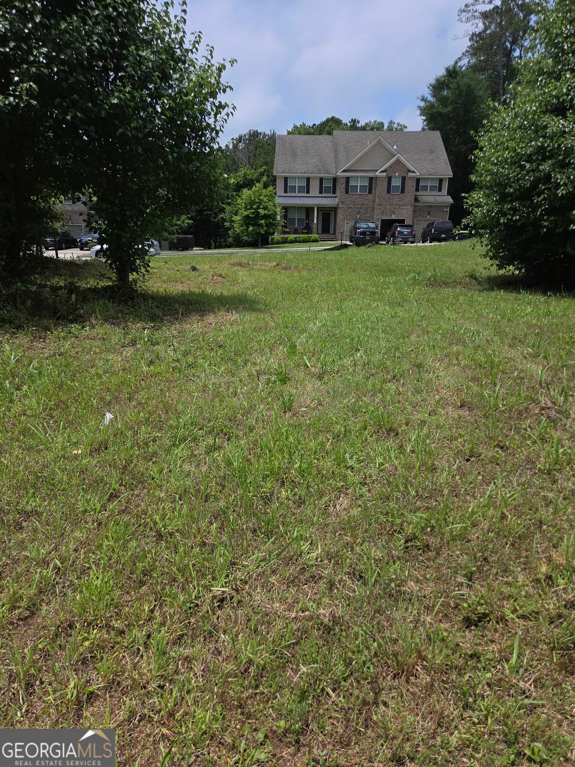 Property Photo: 113 Tumble Run GA 30281
