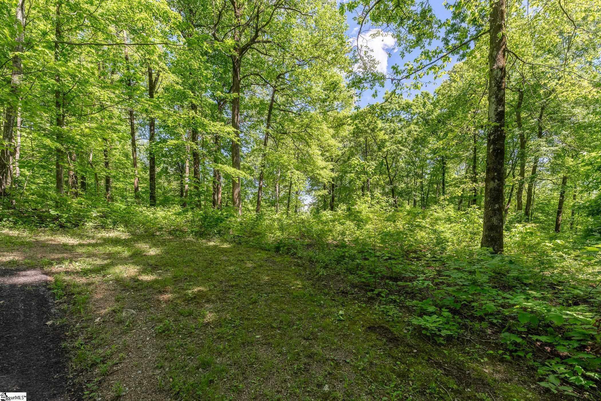 Property Photo:  149 Lacey Fern Way  SC 29356 