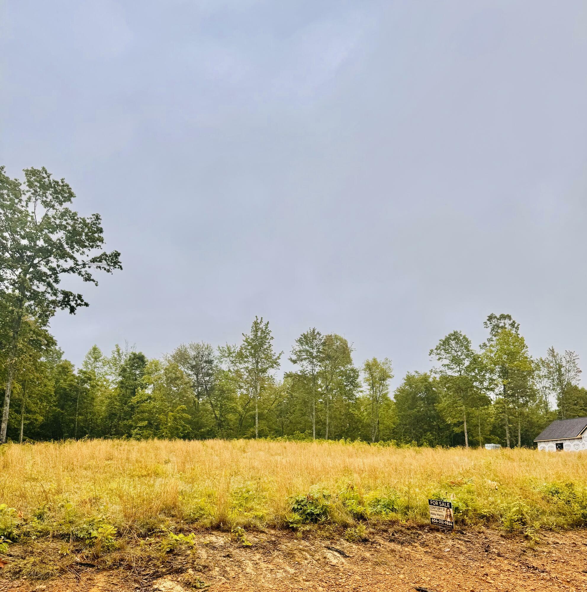 Property Photo: P-3 Twins Pond Road KY 40701