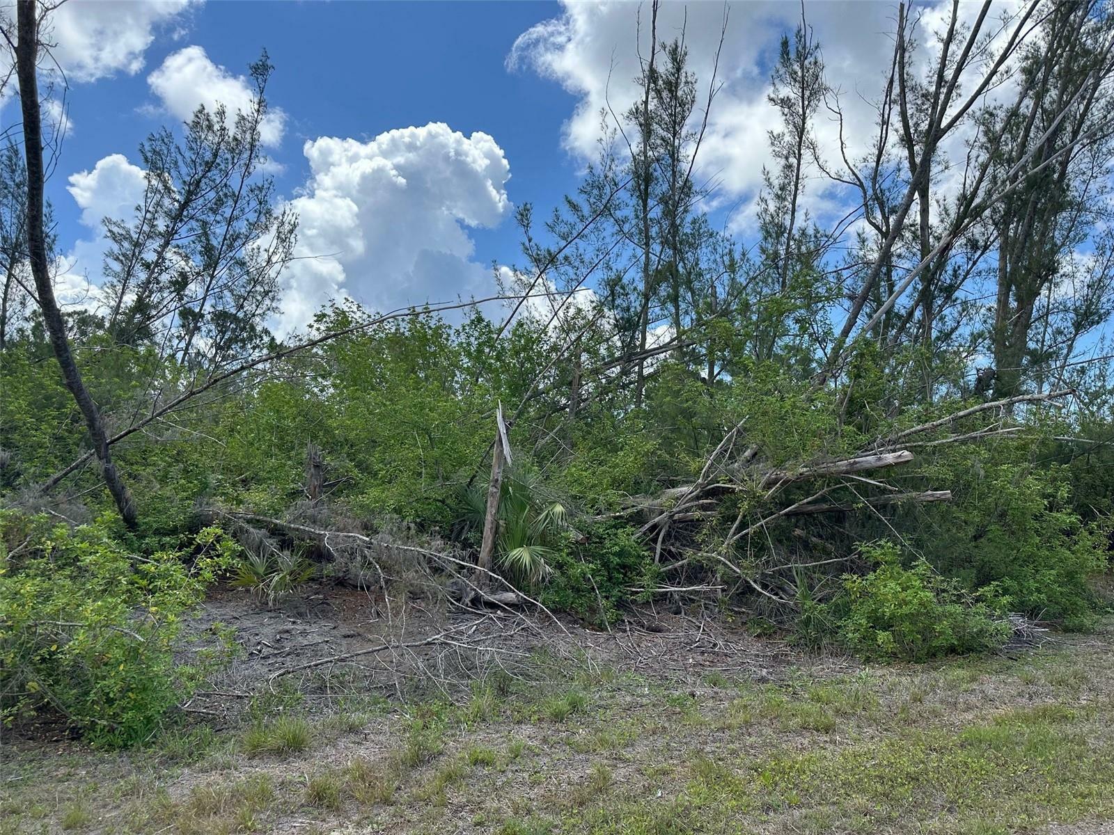 Property Photo: 10792 Hatchet Circle FL 33981