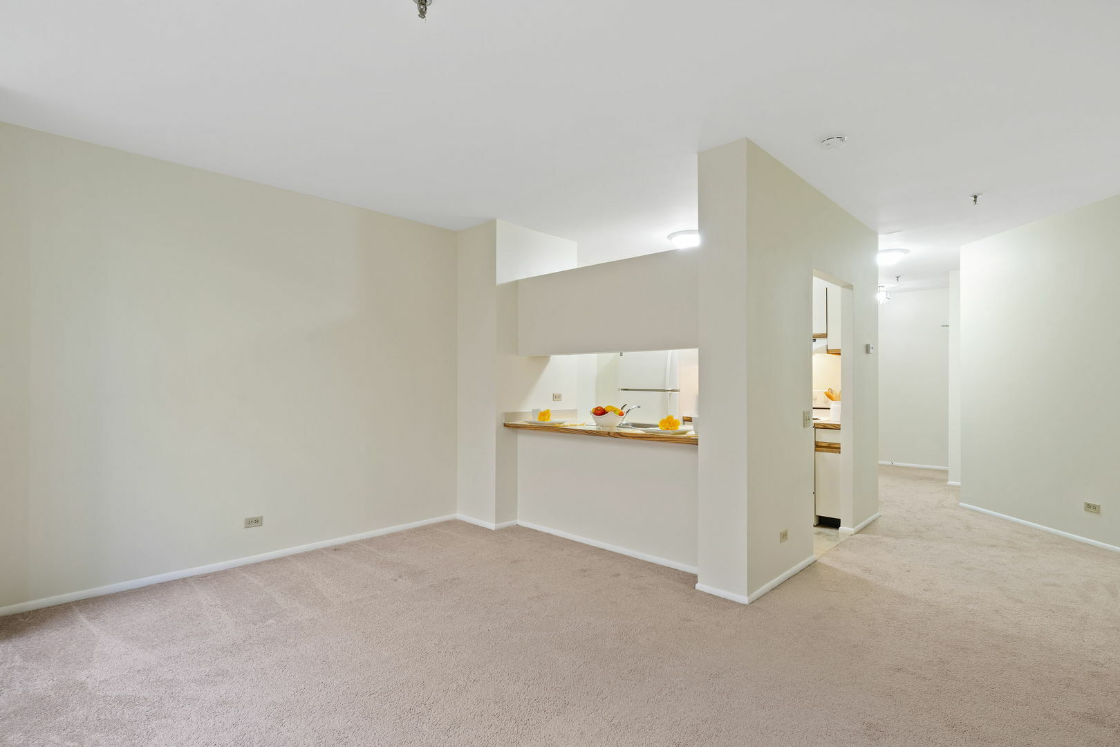 Property Photo: 640 S Federal Street 609 IL 60605