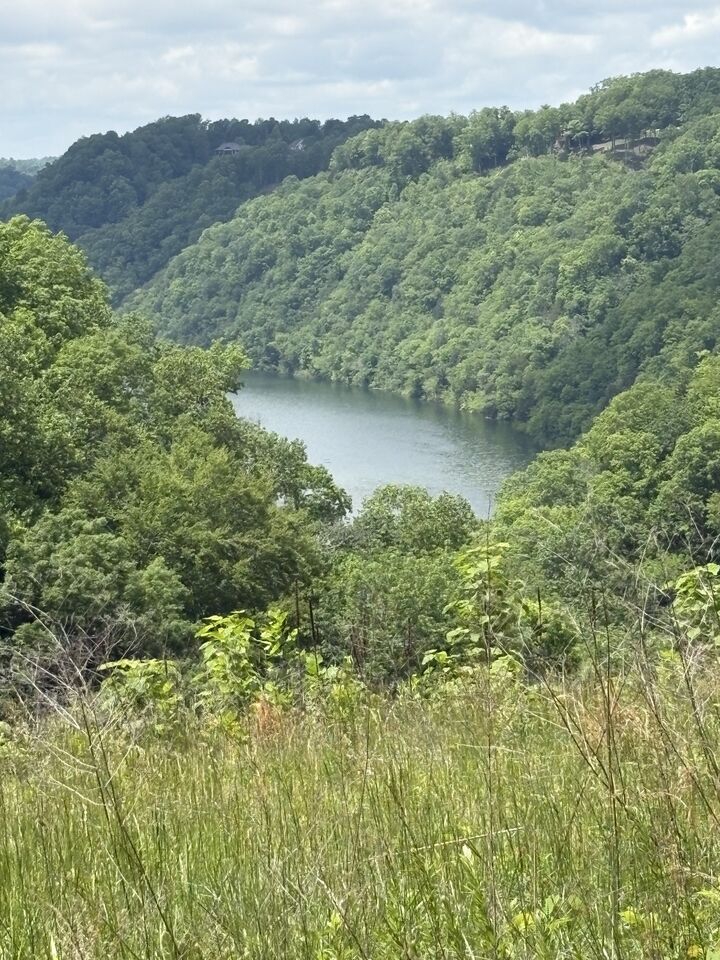 Property Photo: 0 Knowles Ln TN 38583