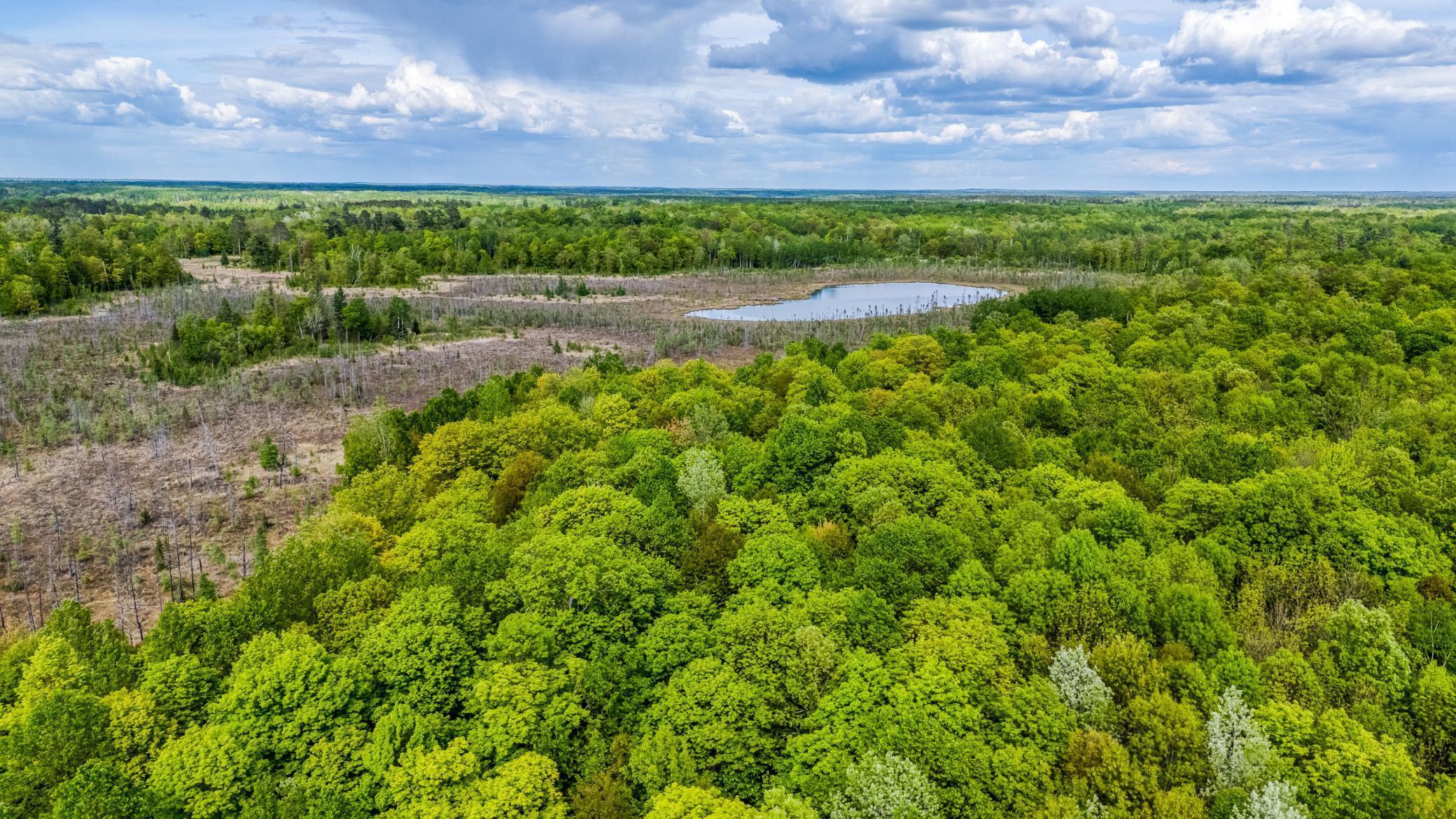 Property Photo:  0000 Lamon Road NE  MN 56601 