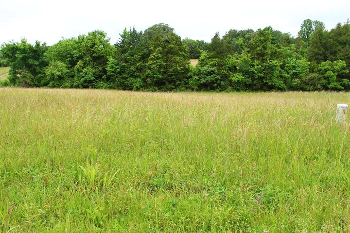 Property Photo:  695 Calvert Road  KY 42120 