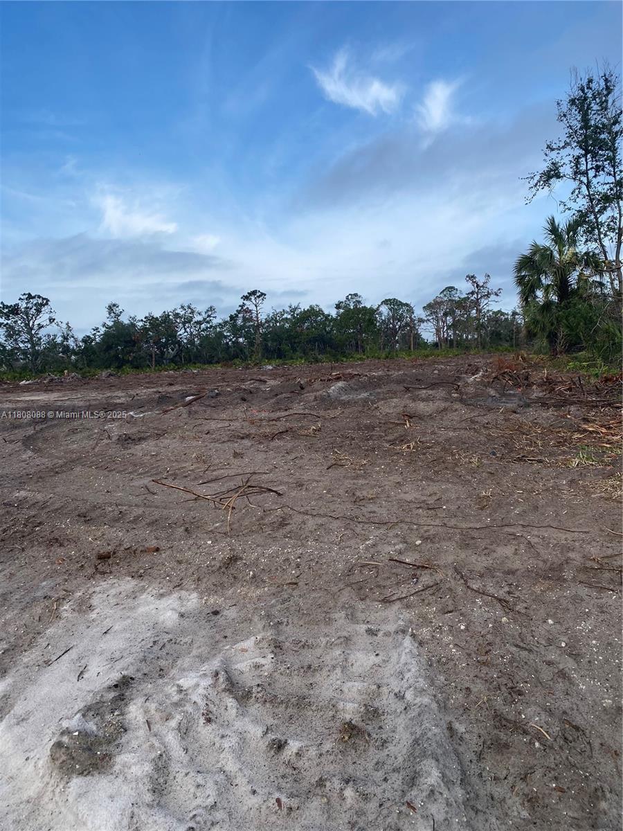 Property Photo: 23 Rotonda Plpz FL 33947