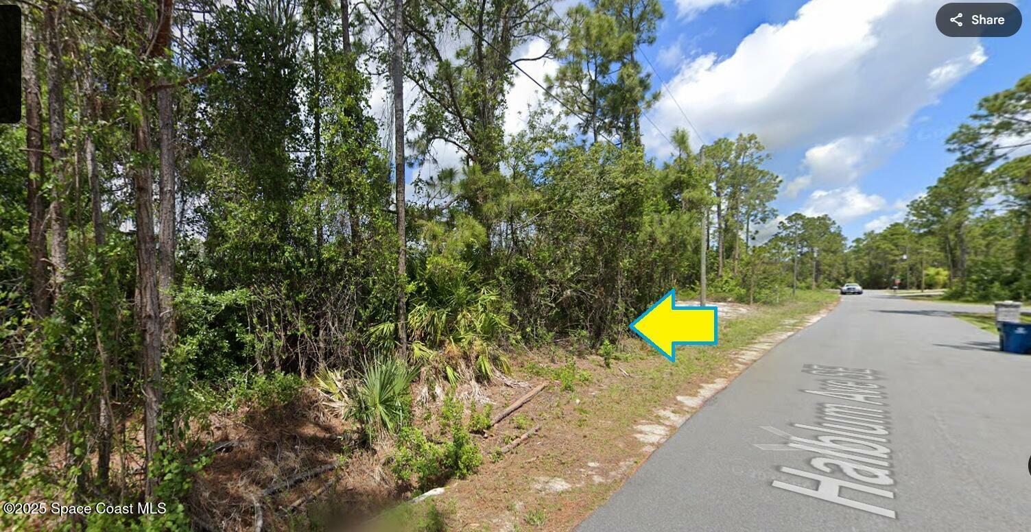 Property Photo: 3180 Halblum Avenue SE FL 32909