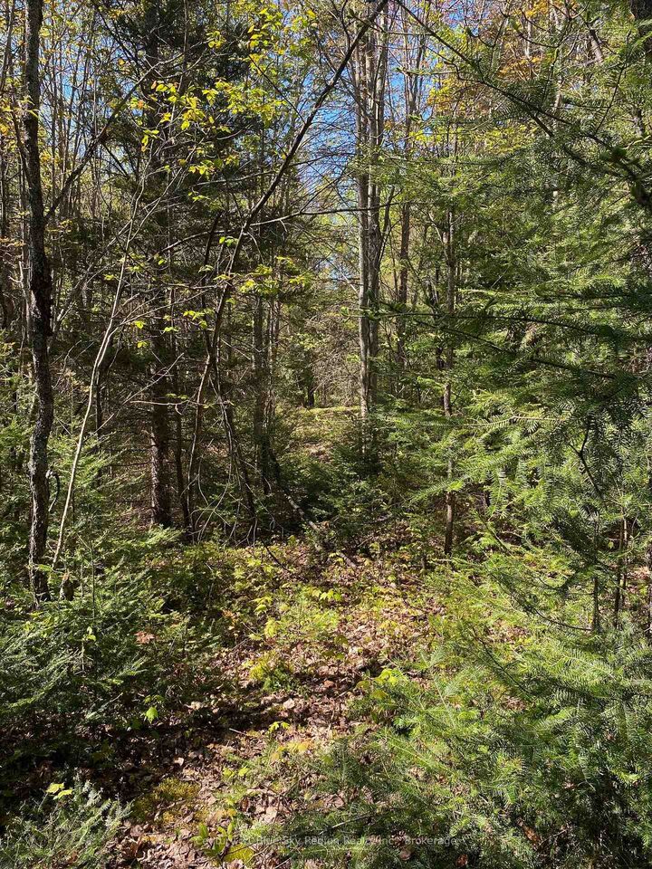 Property Photo:  471 Weiler Line  ON P0H 2L0 