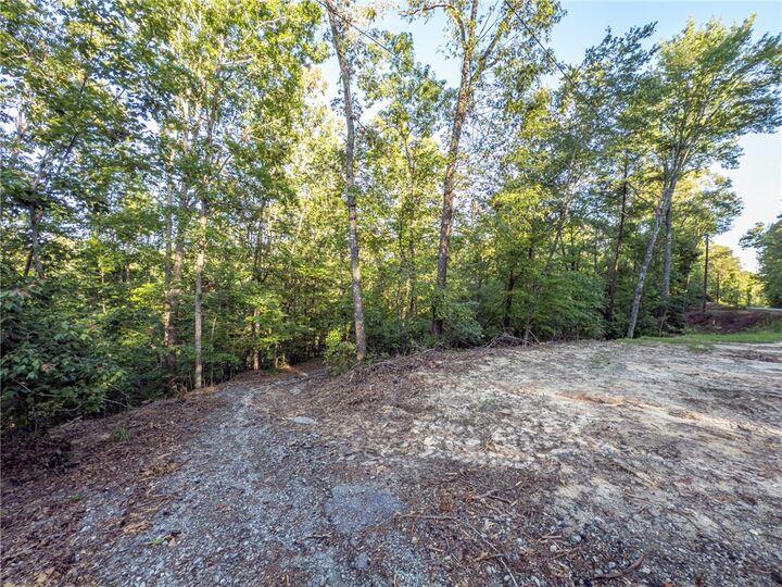 Property Photo: Lot 22 Old Shallowford Bridge Road SC 29685