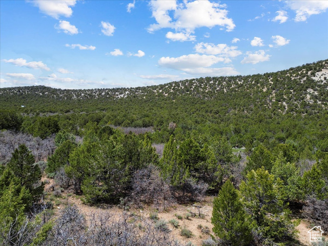 Unknown  Mayfield UT 84643 photo