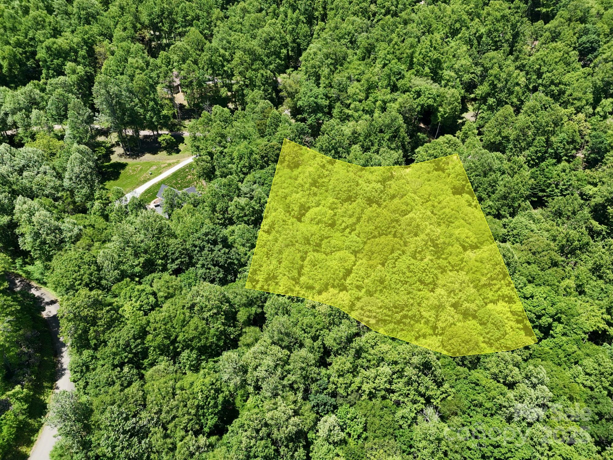 Property Photo: 0 Elkhorn Ridge Drive 46 NC 28734