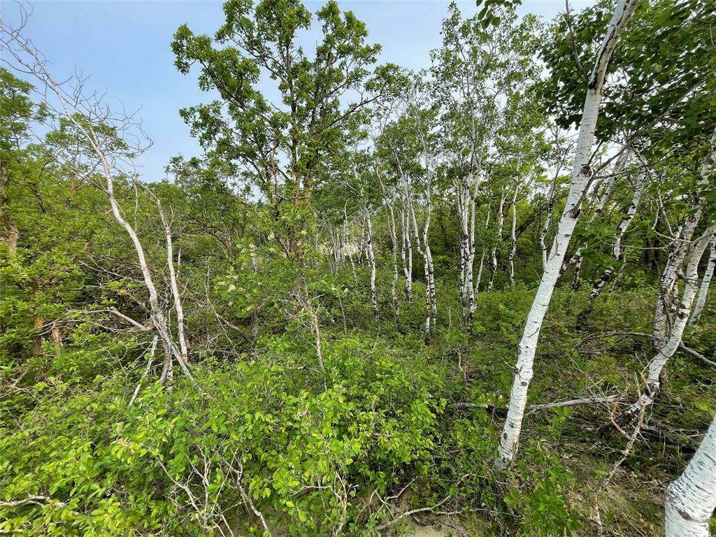 Property Photo:  215 Mountain Road  MB R0K 0H0 