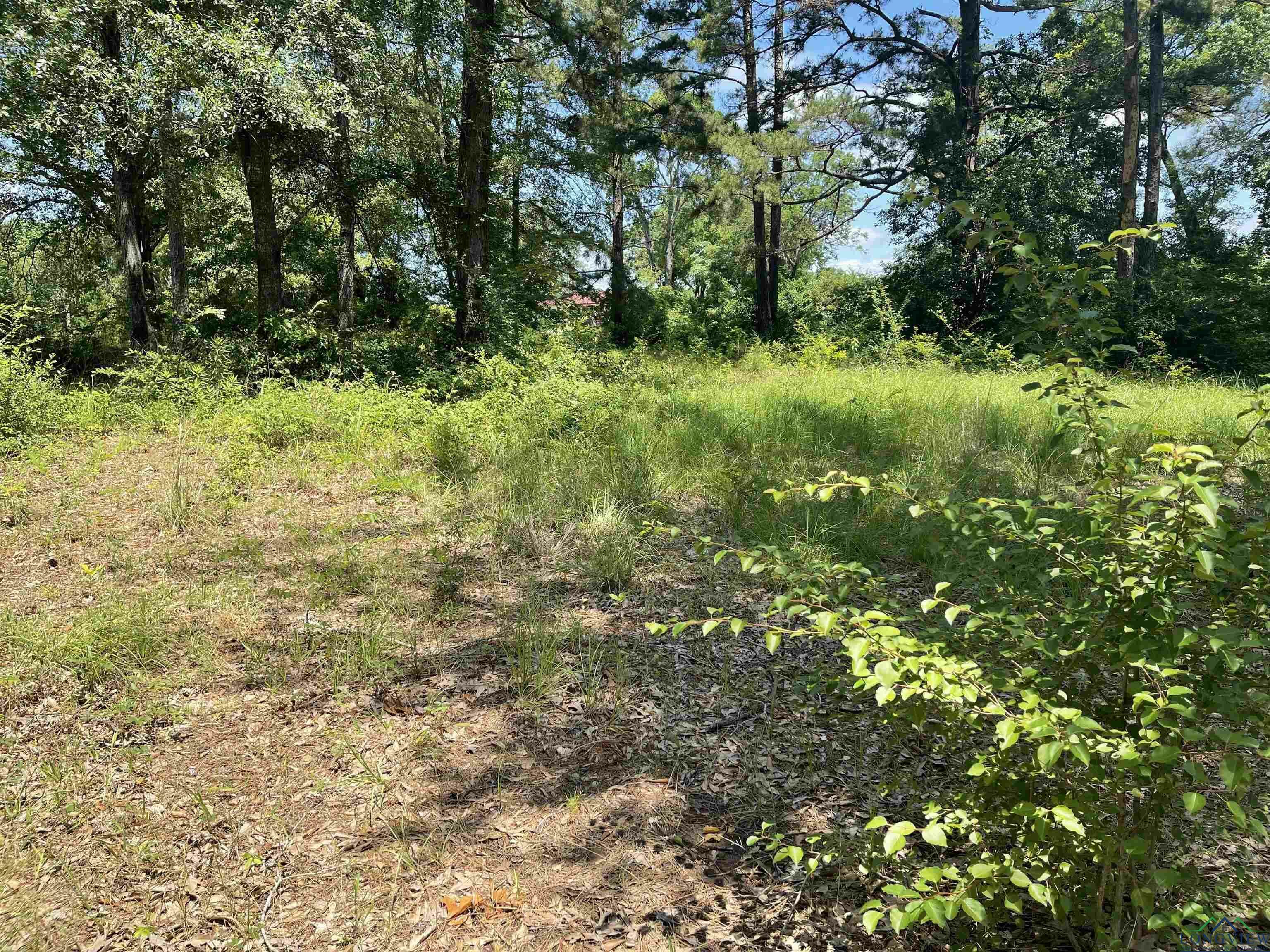Property Photo: Tbd Fm 1970 TX 75633