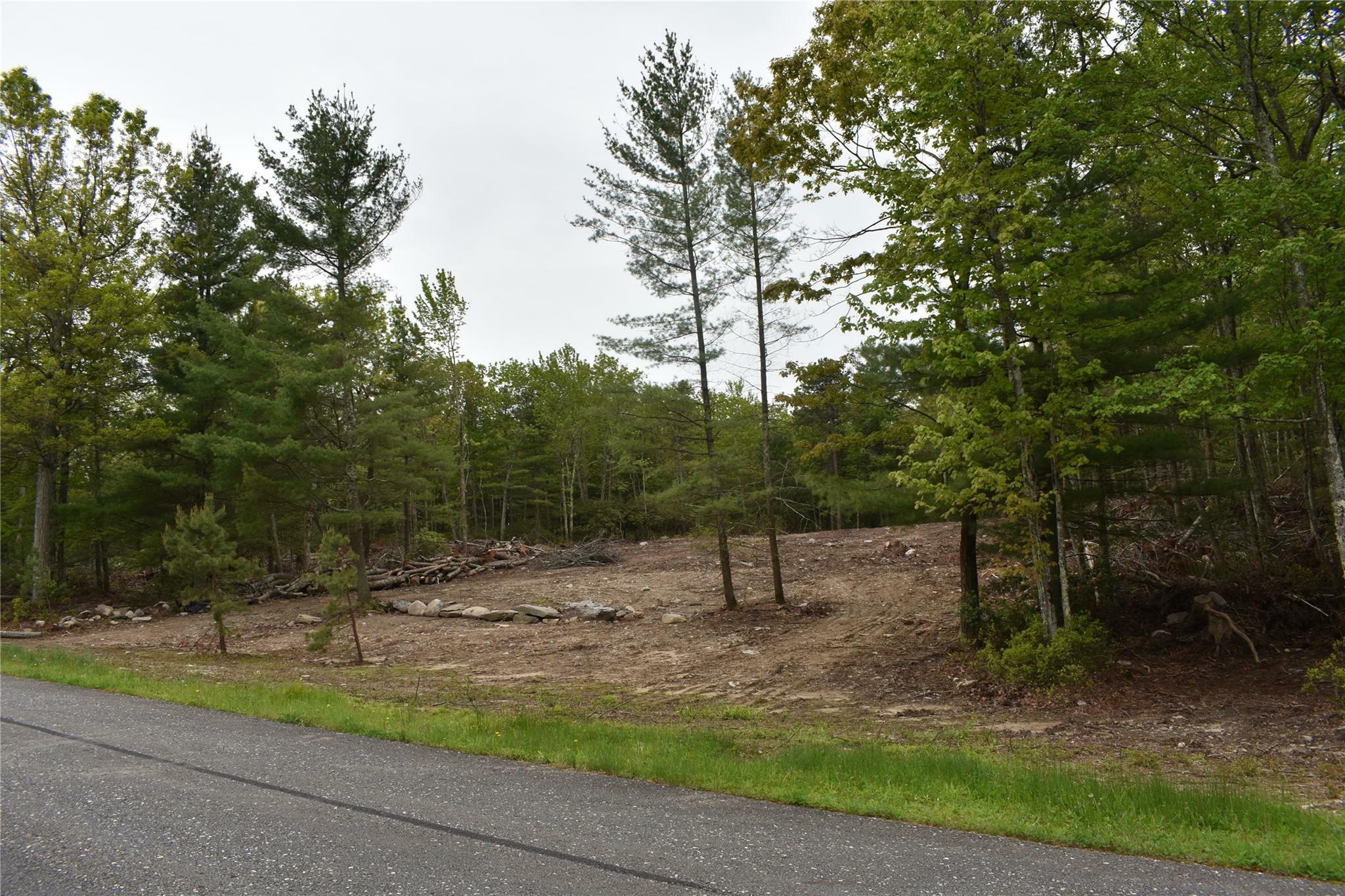 Property Photo: Lot 10 Big Rock Drive NY 12790