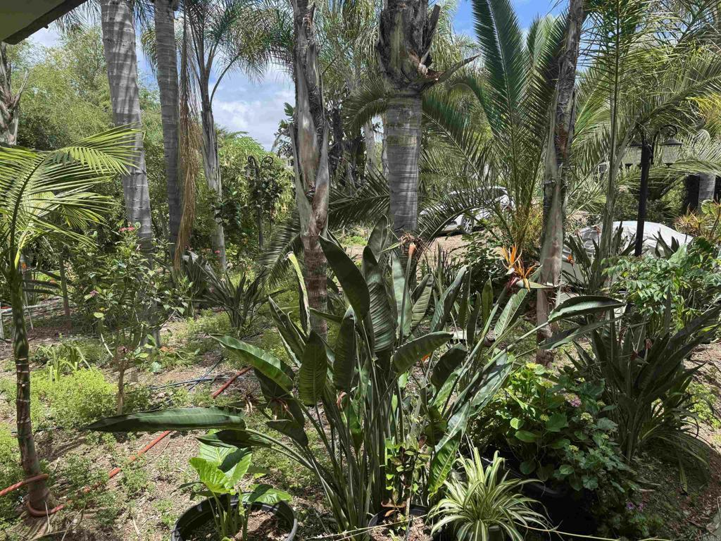 Property Photo:  6591 Black Rail Road  CA 92011 