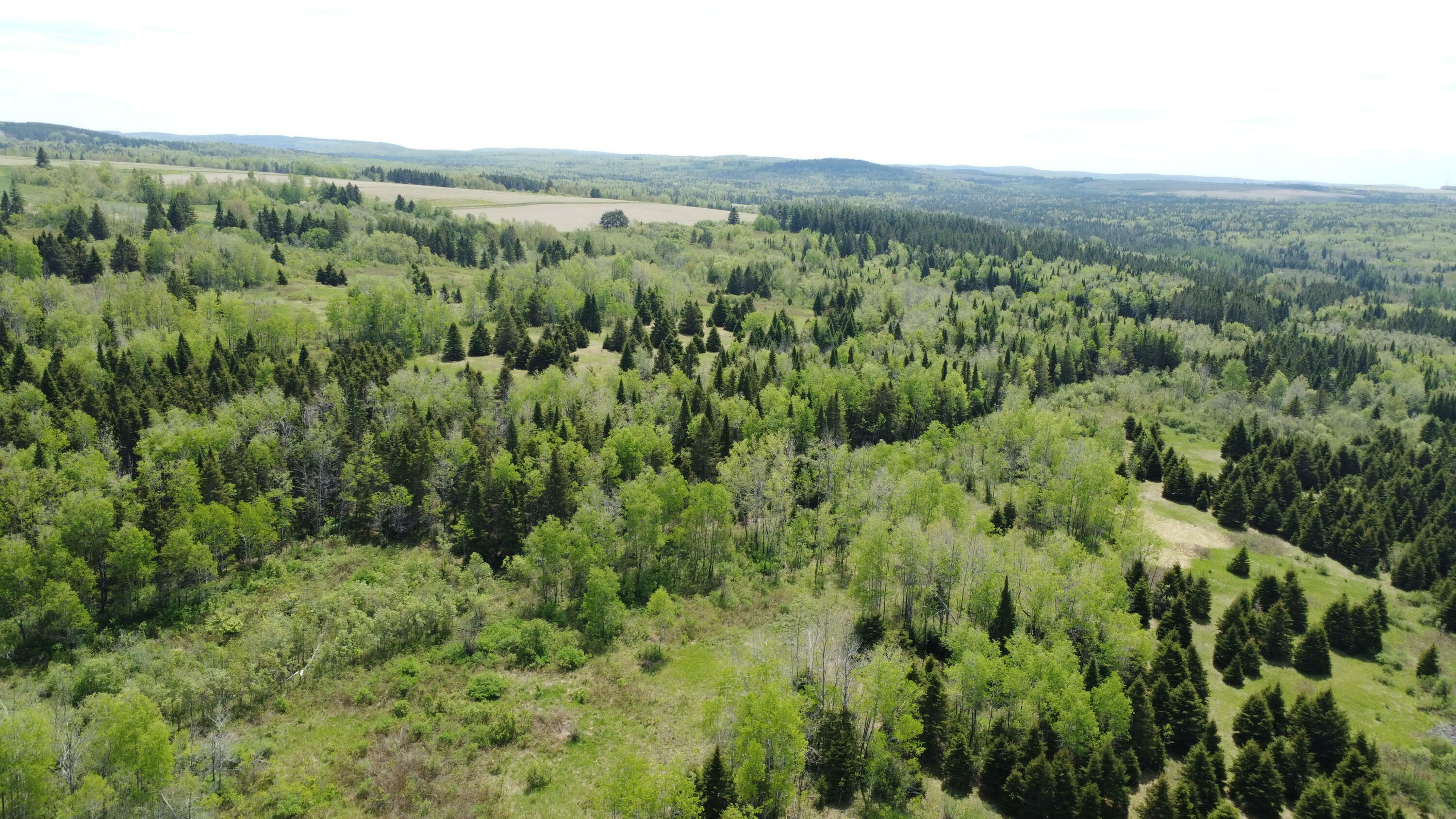 Property Photo: Lot 22 Desjardins Road ME 04756