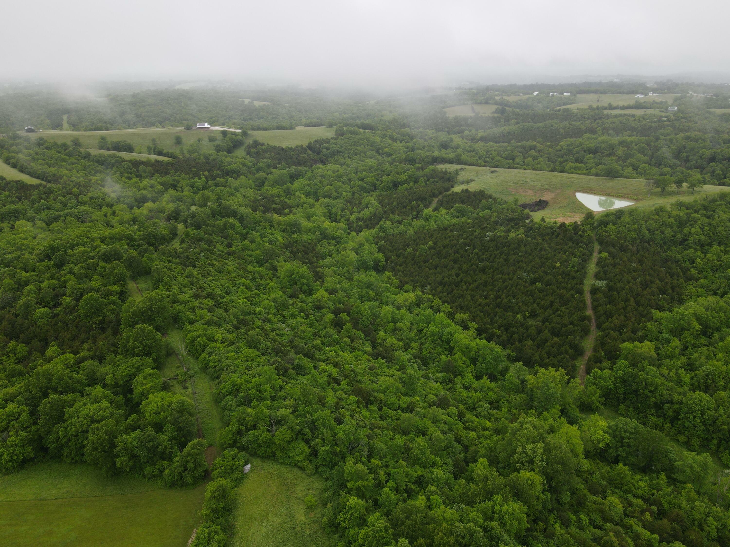 Property Photo:  138 Acres Cooper Lane  KY 41004 