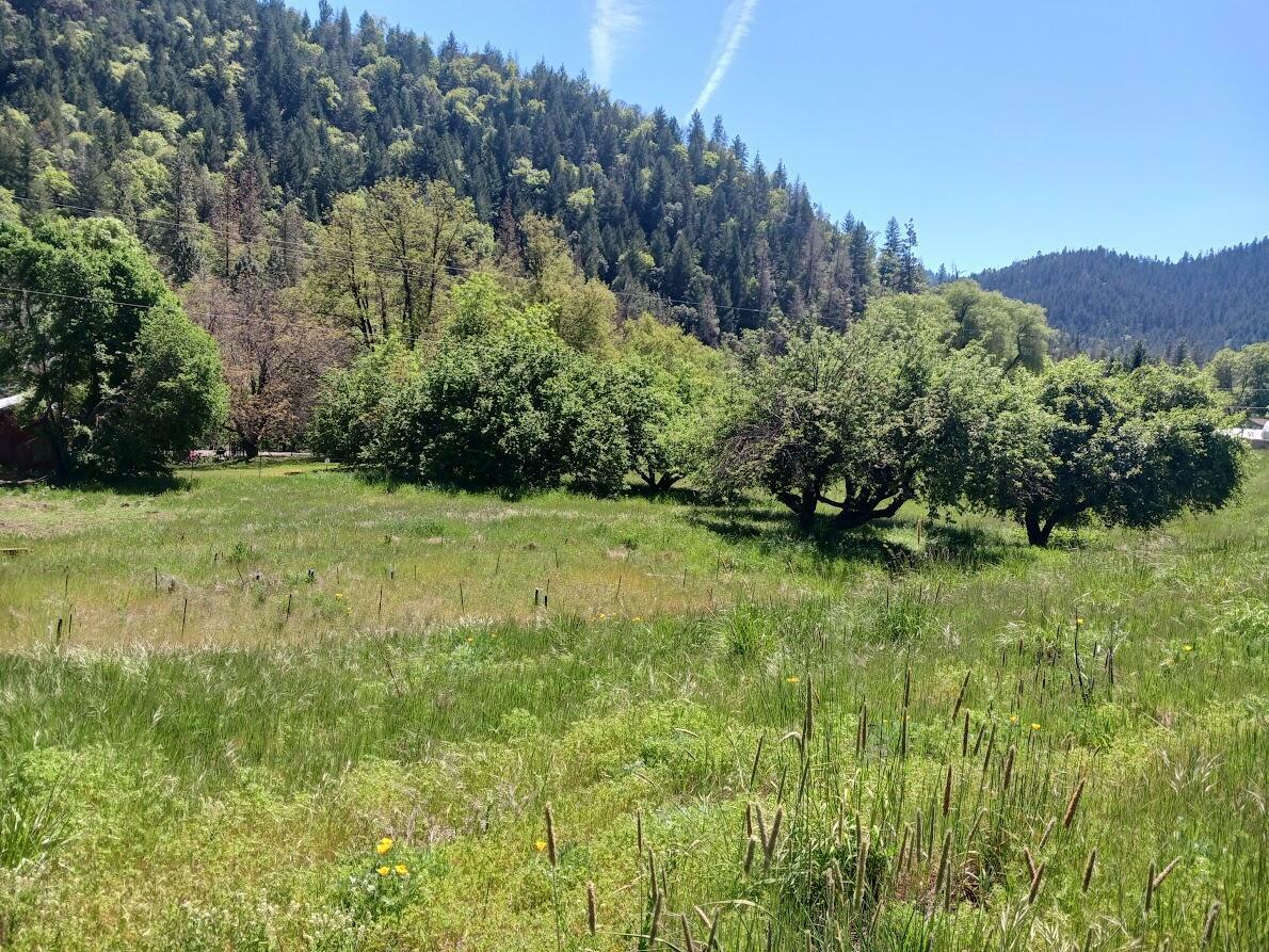 Property Photo:  14855 E Evan'S Creek Road  OR 97537 