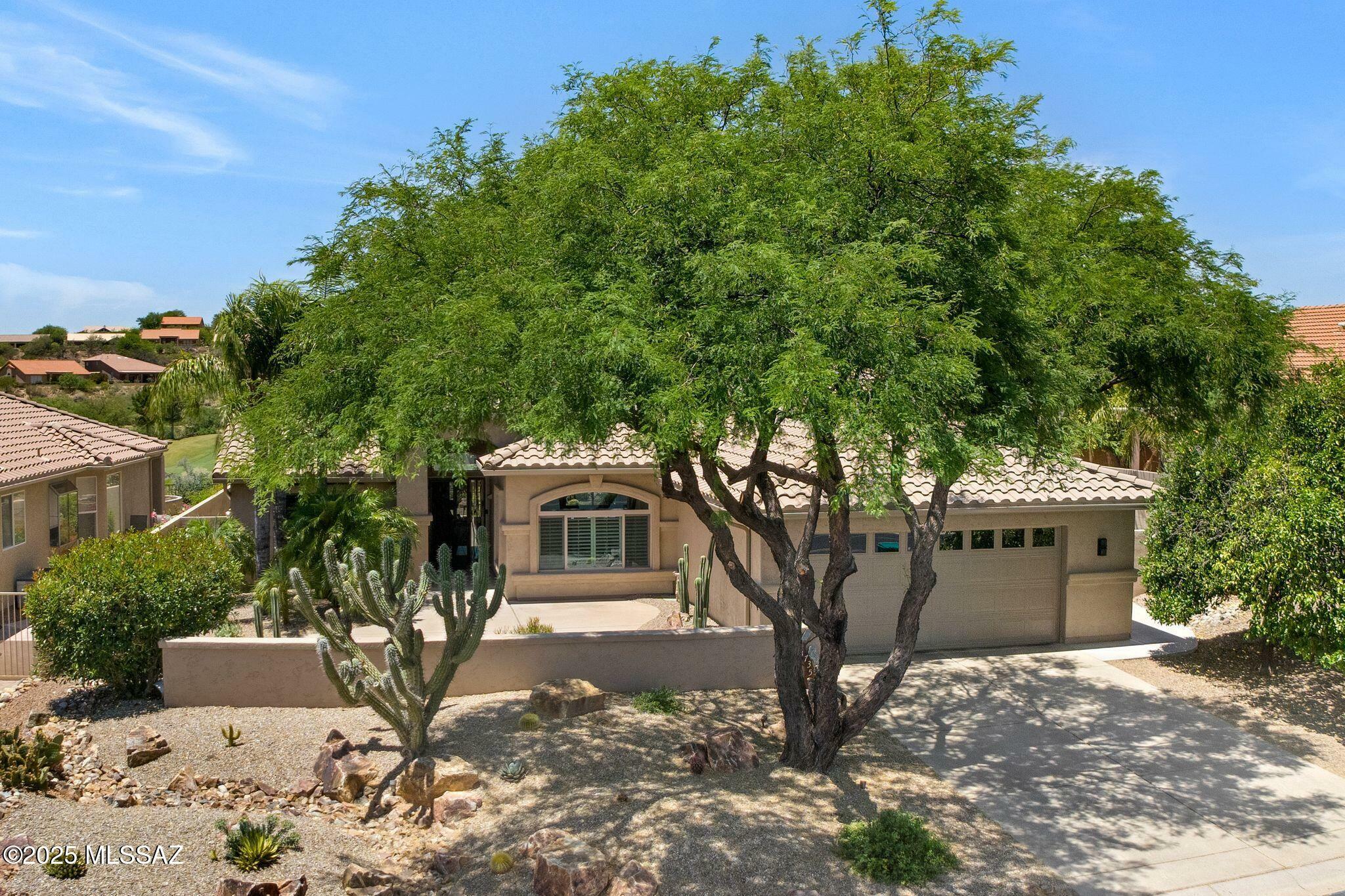 37358 S Ridgeview Boulevard  Saddlebrooke AZ 85739 photo