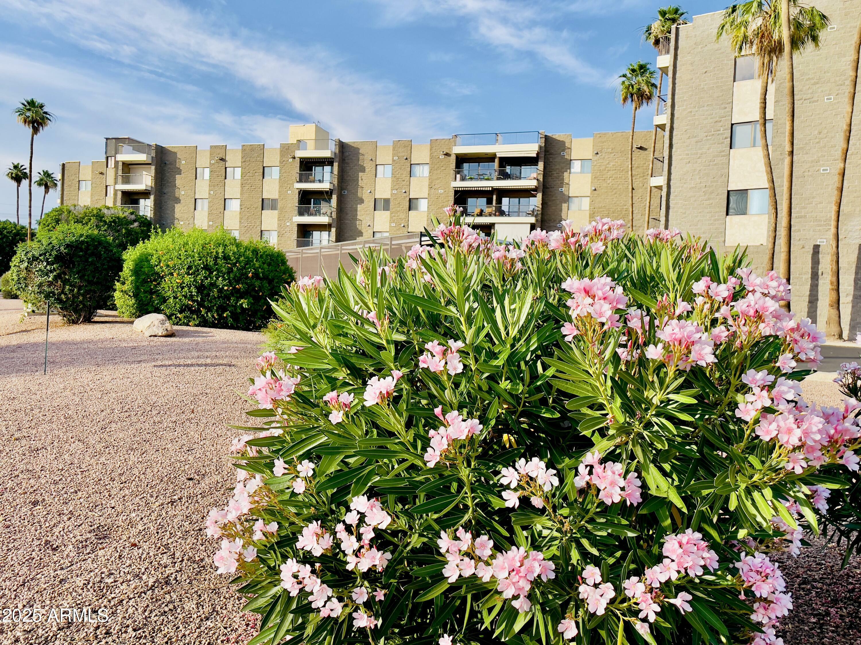 Property Photo: 425 S Parkcrest -- 323 AZ 85206
