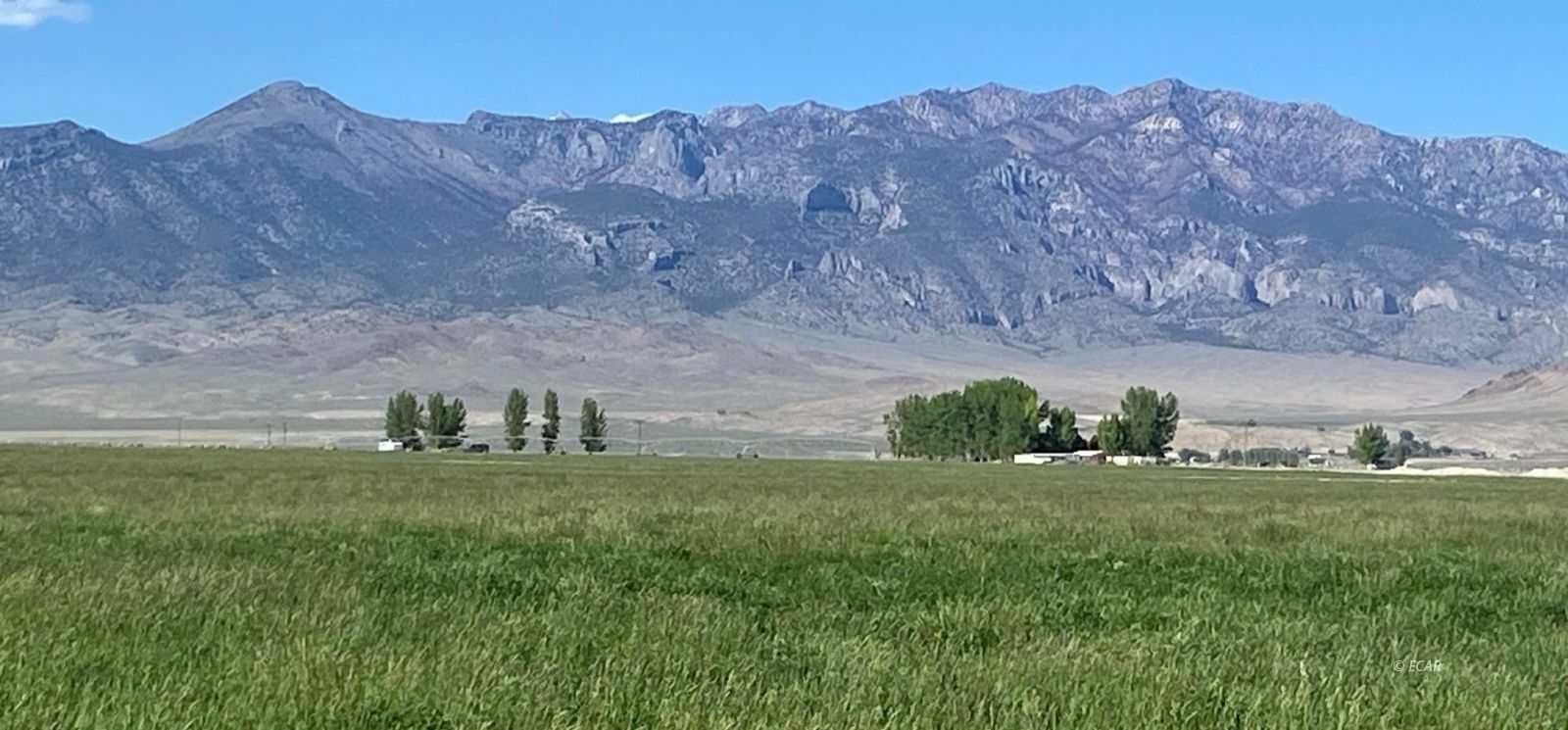 Property Photo: 1314 Fire Station Road E NV 89301