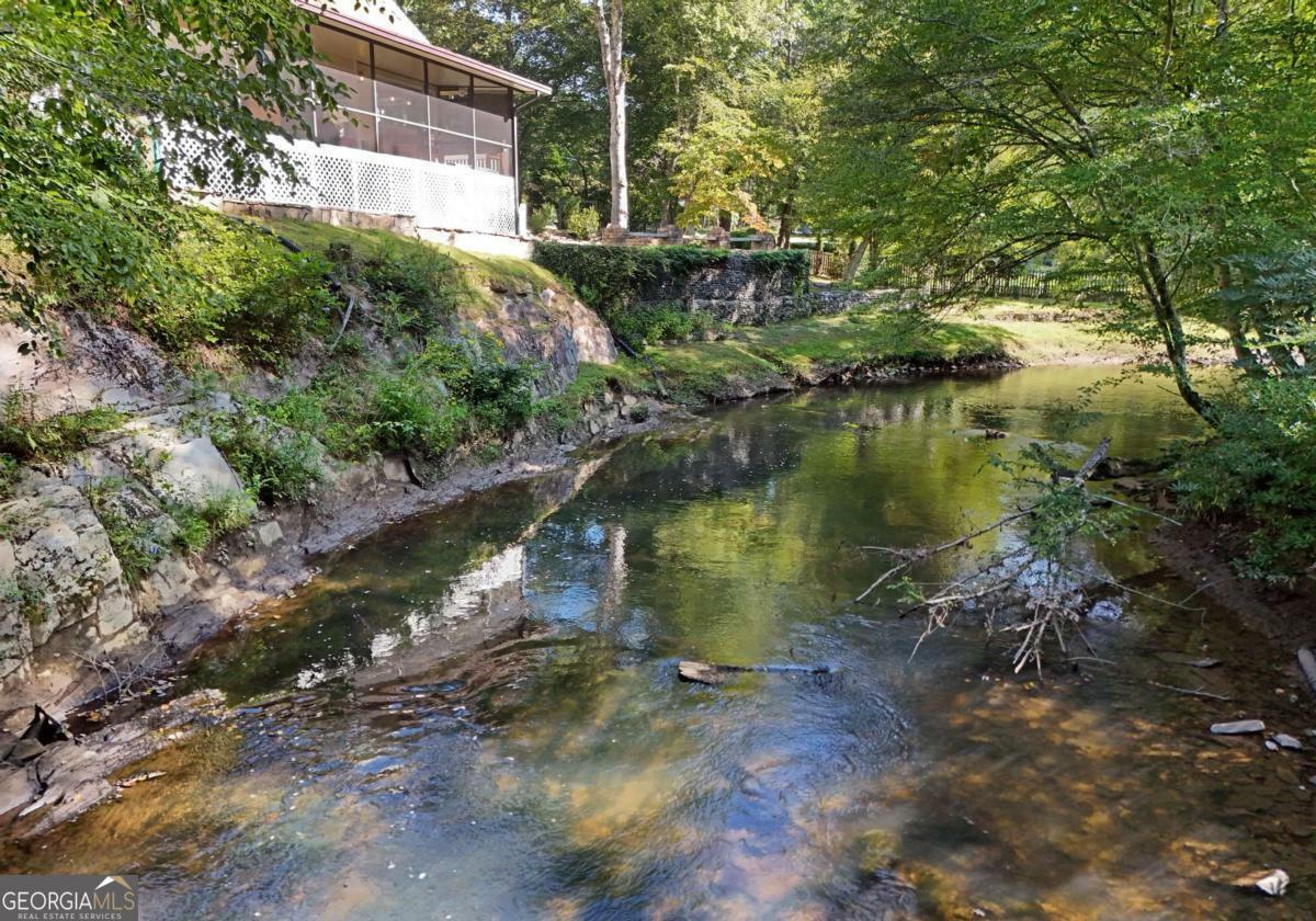 Property Photo: 401 Mountain Rivers Road GA 30559